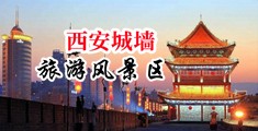 欧美美女小骚穴中国陕西-西安城墙旅游风景区