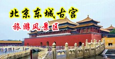 淫语操屄av中国北京-东城古宫旅游风景区